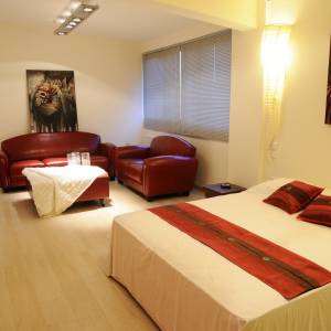 media\acfgallery\content\2\4\prive-loft-suite-09_original